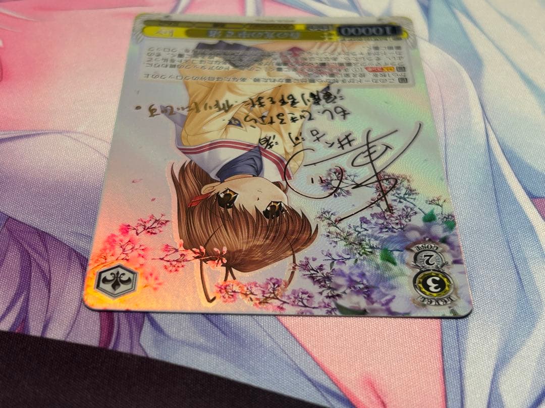 ヴァイス 春の光の中で 渚 SP