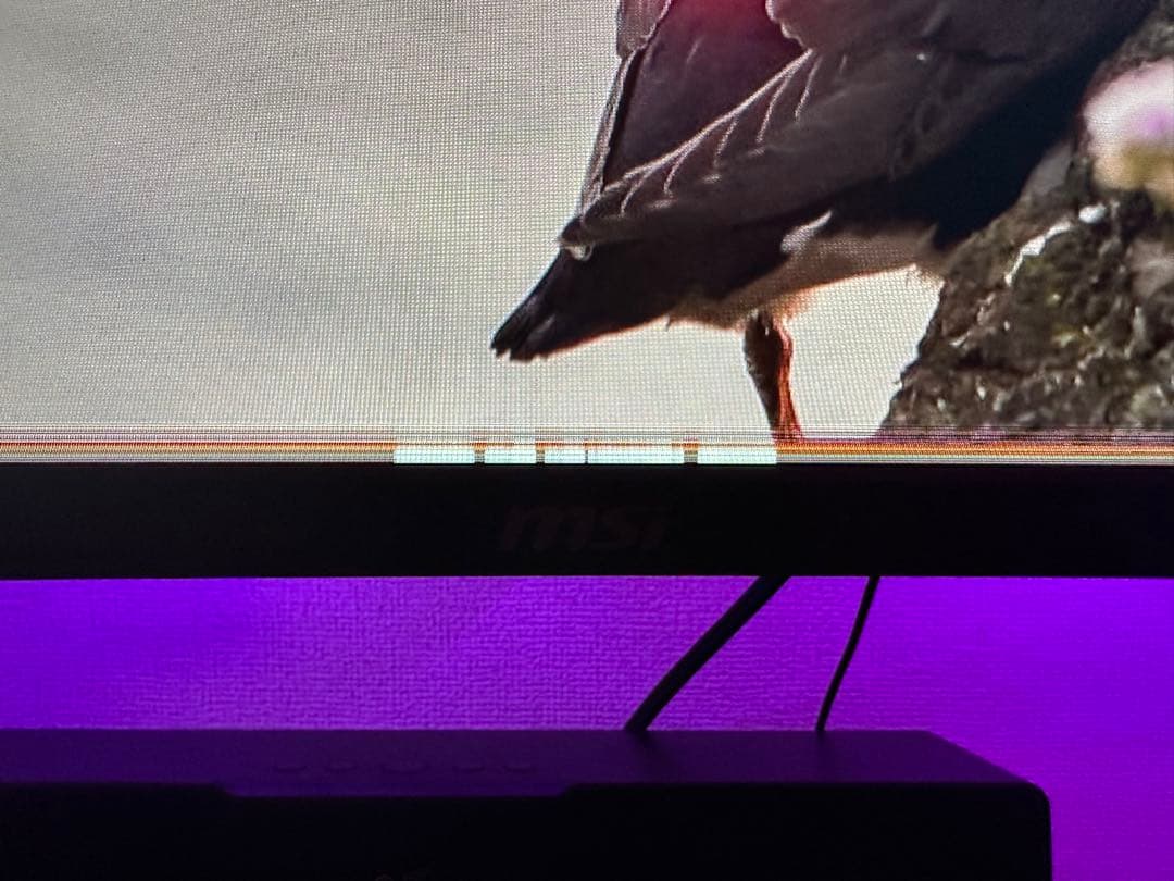 MSI optix MAG341CQ 34インチ ウルトラワイドモニター