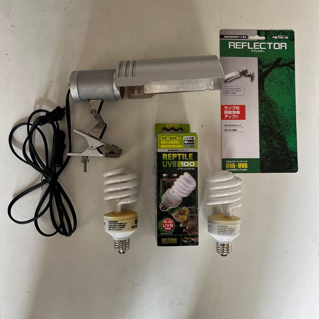 爬虫類飼育用品セット