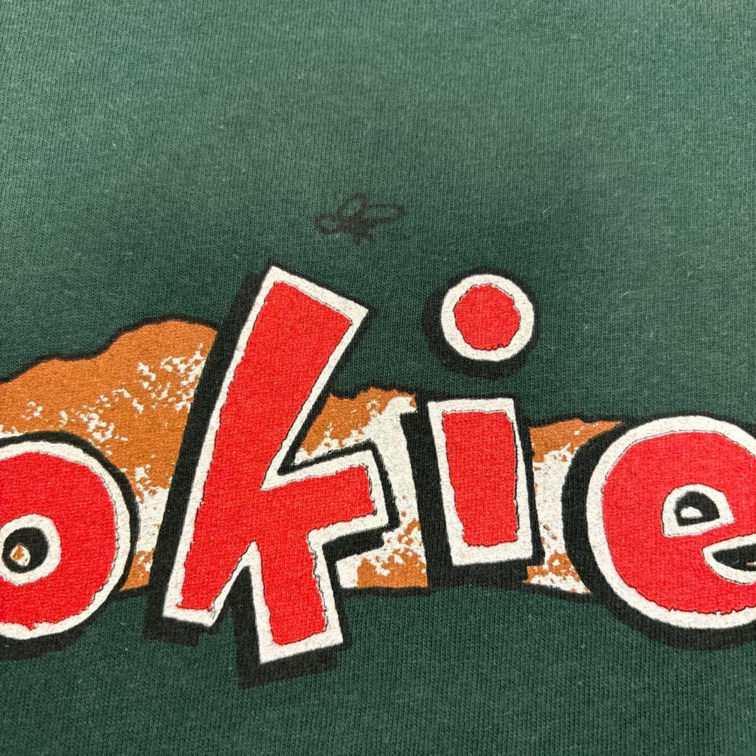 Green Day 90s Dookie ヴィンテージTシャツ USA製 L