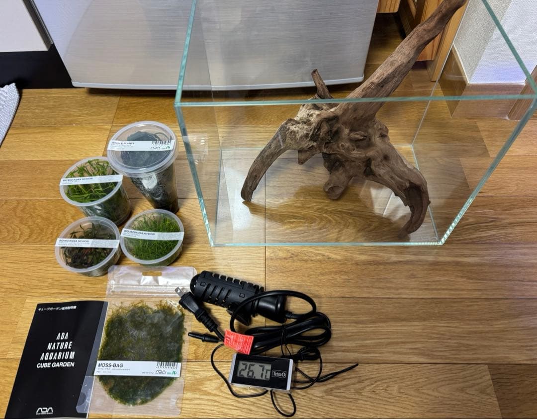 限定値下げ！　ADA 水槽　水草　セット