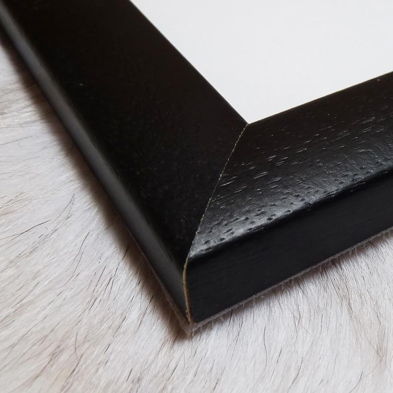 額装品/ムーランルージュ パリ/ジャニン ニエプス/ポスター/アート/インテリア