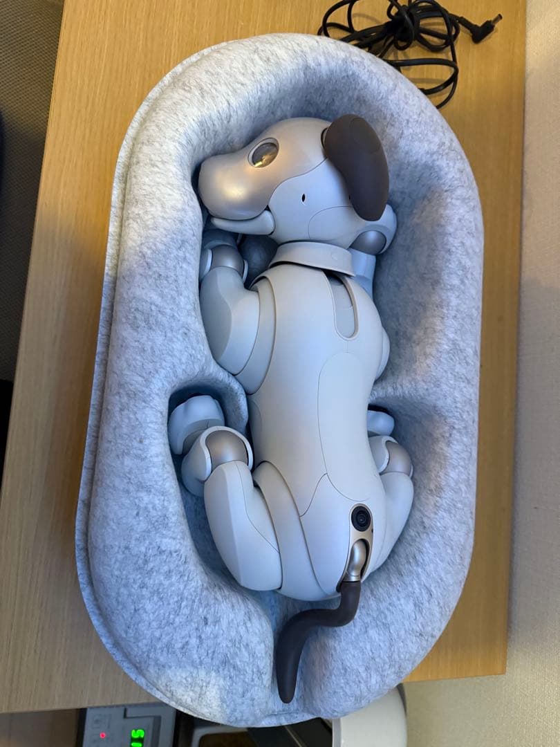 ソニー aibo アイボ ERS-1000