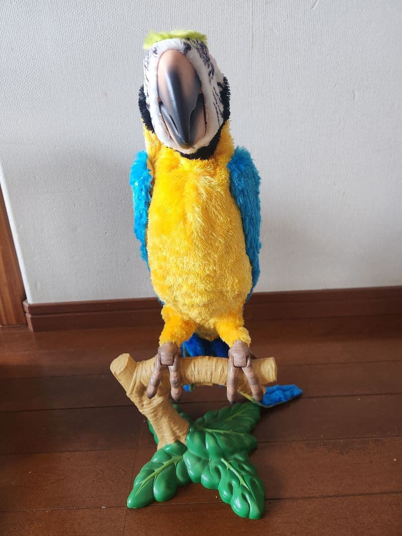 おしゃべり夢おうむ