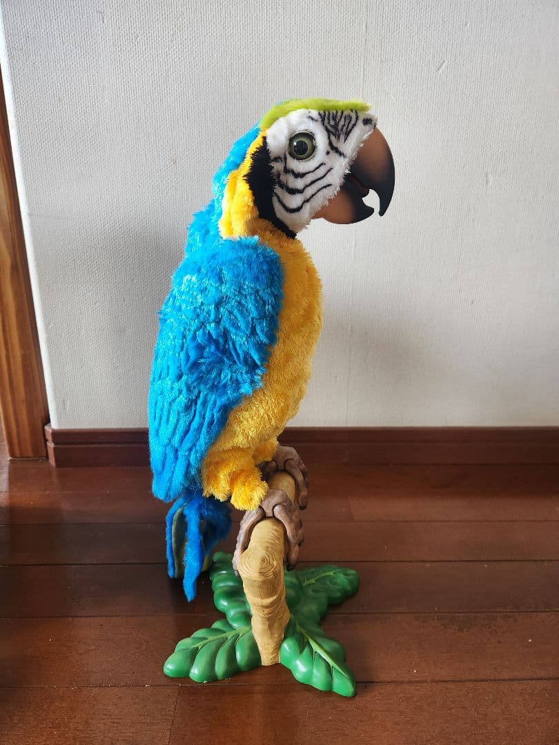 おしゃべり夢おうむ