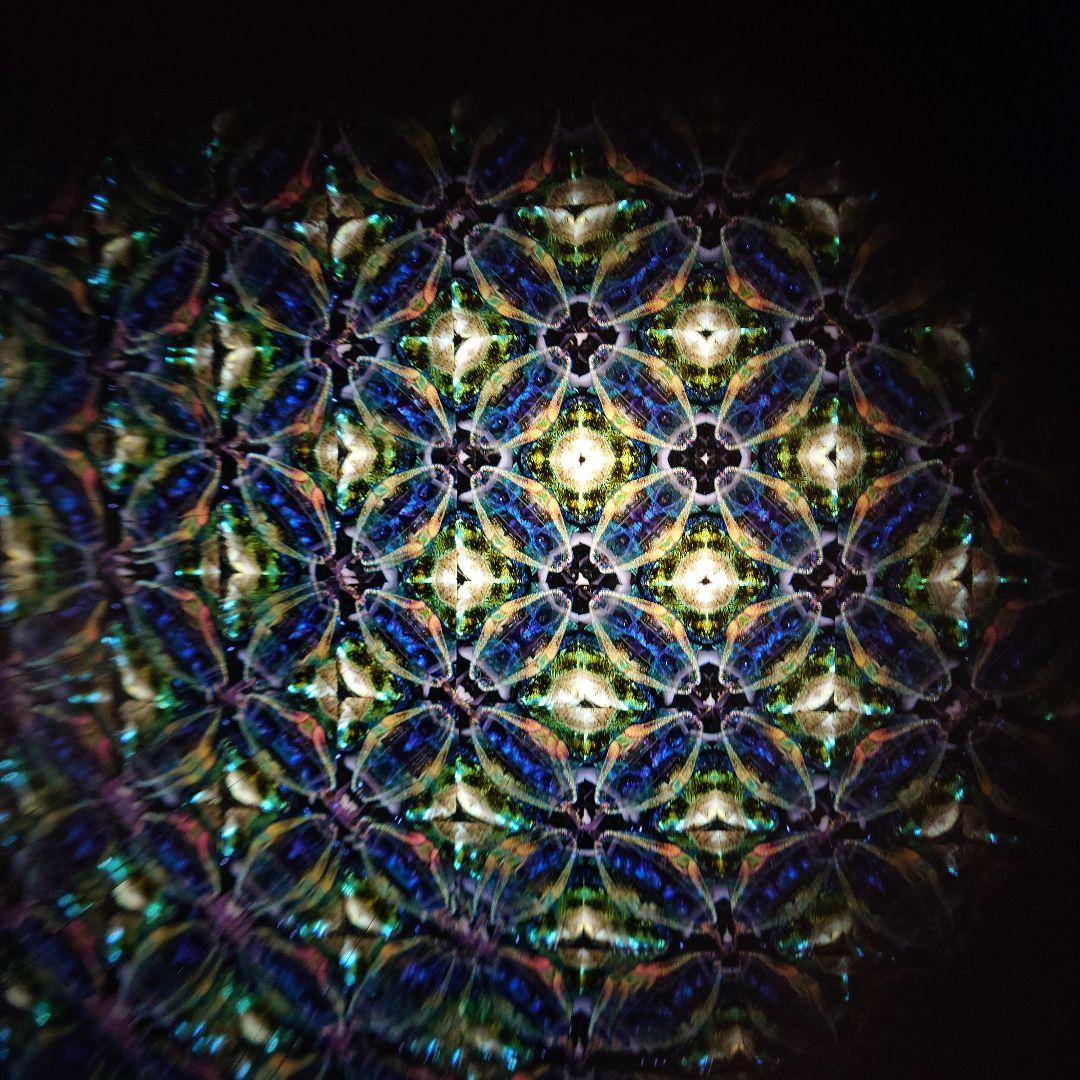 万華鏡　カレイドスコープ　小嶌淳&喜多里加　SERAPH　セラフ