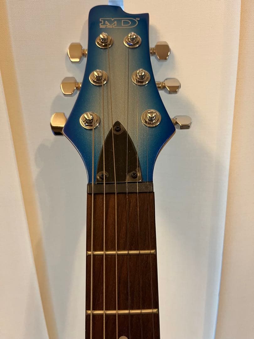 l D エレキギター