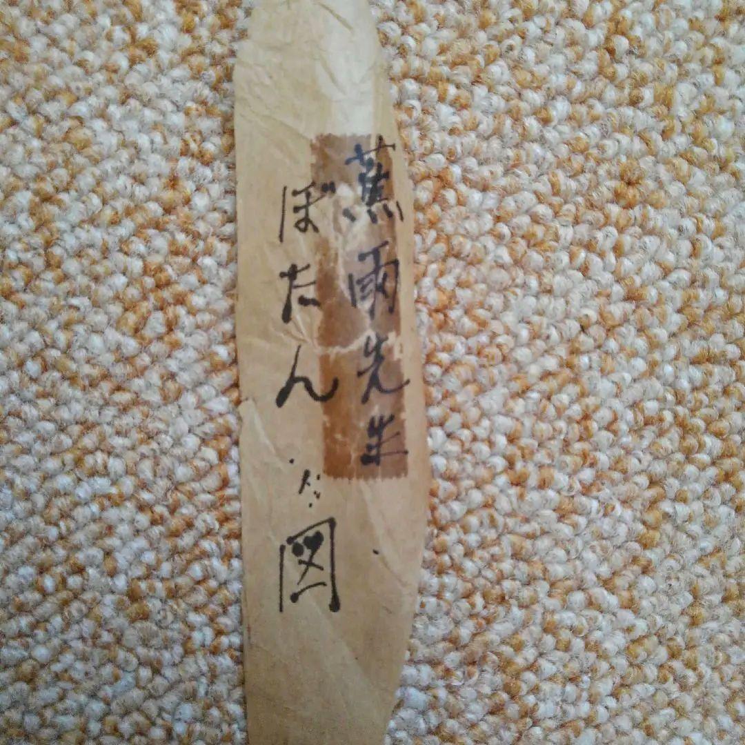 薫雨　　ぼたん　掛け軸　昭和レトロ　ヴィンテージ