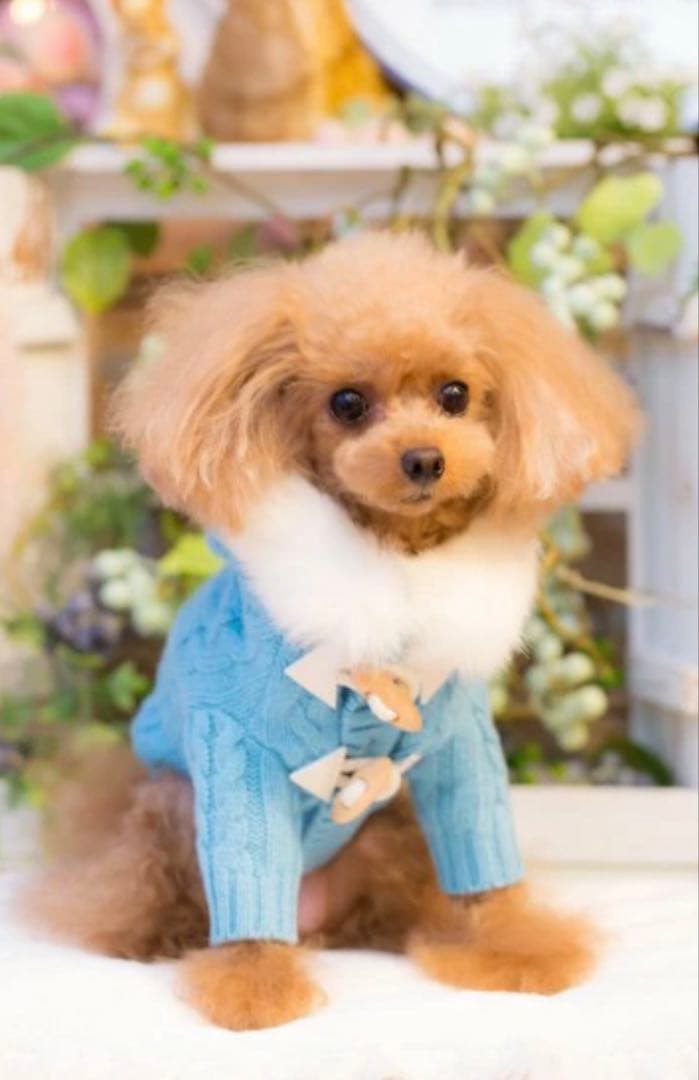 新品タグ付♡ブルブブbulbubu♡ニットダッフルコート♡ウール100%♡XS