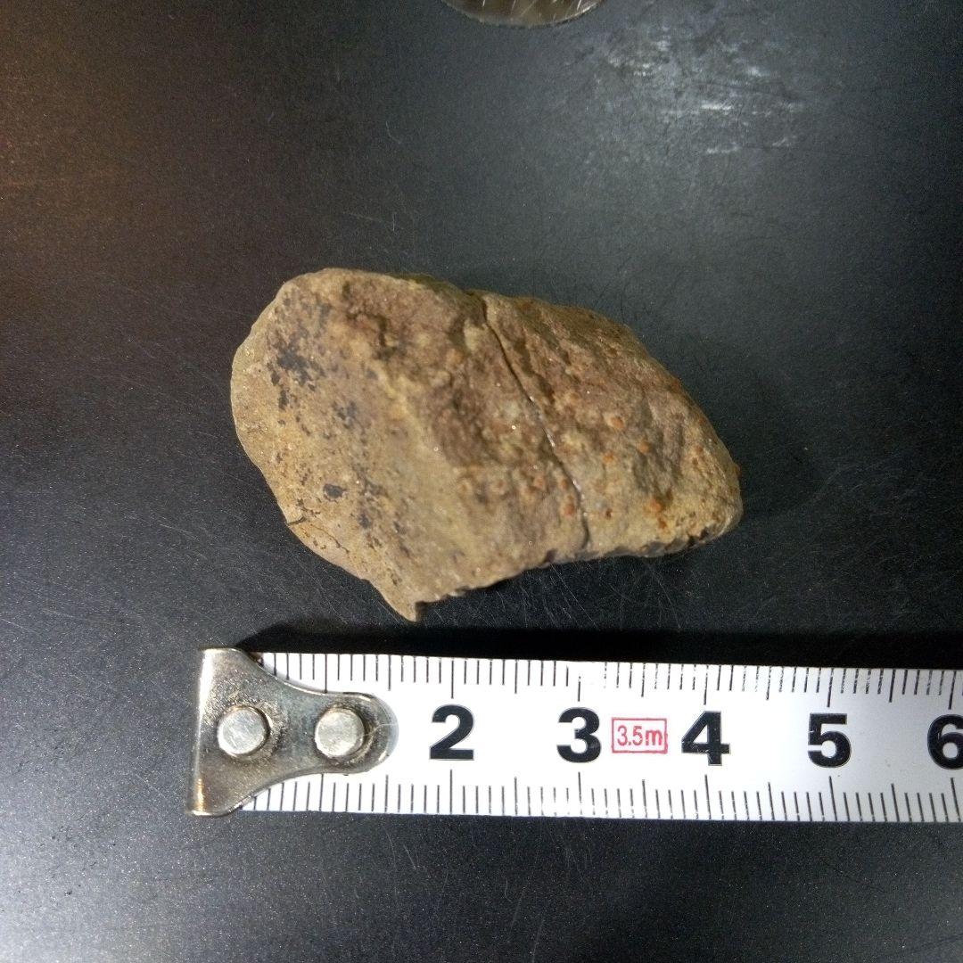 三葉虫　化石　fossil　ボリビア産　トライロバイト　Fossil番号⑤