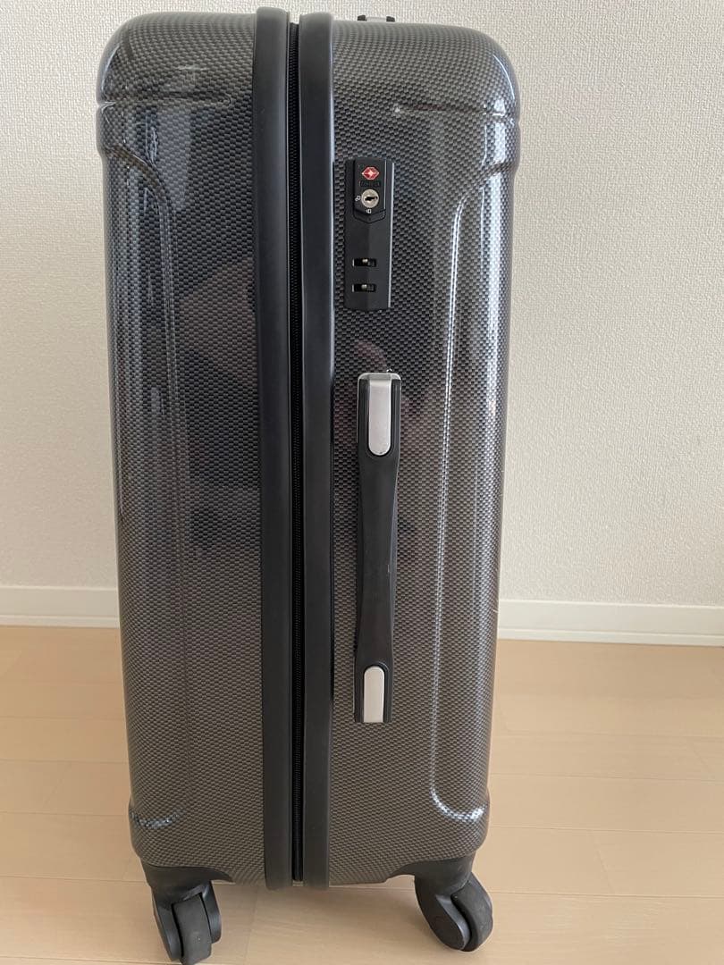 ACE Co.,Ltd. PUJOLS スーツケース