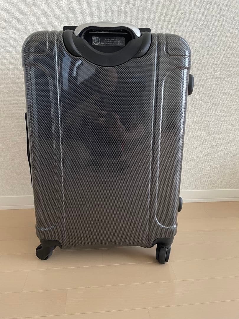 ACE Co.,Ltd. PUJOLS スーツケース