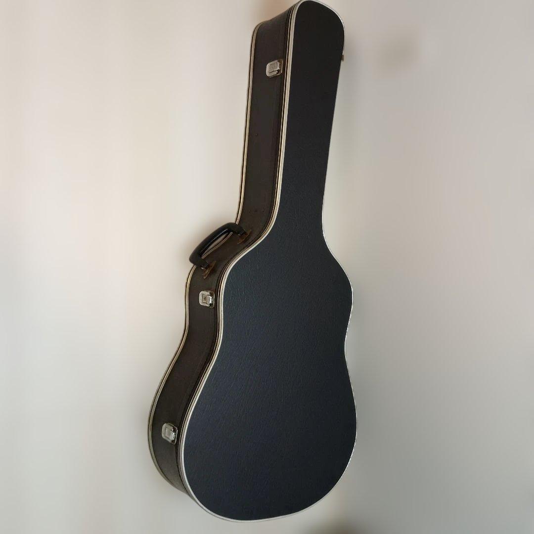 Blue Bell アコースティックギター 250