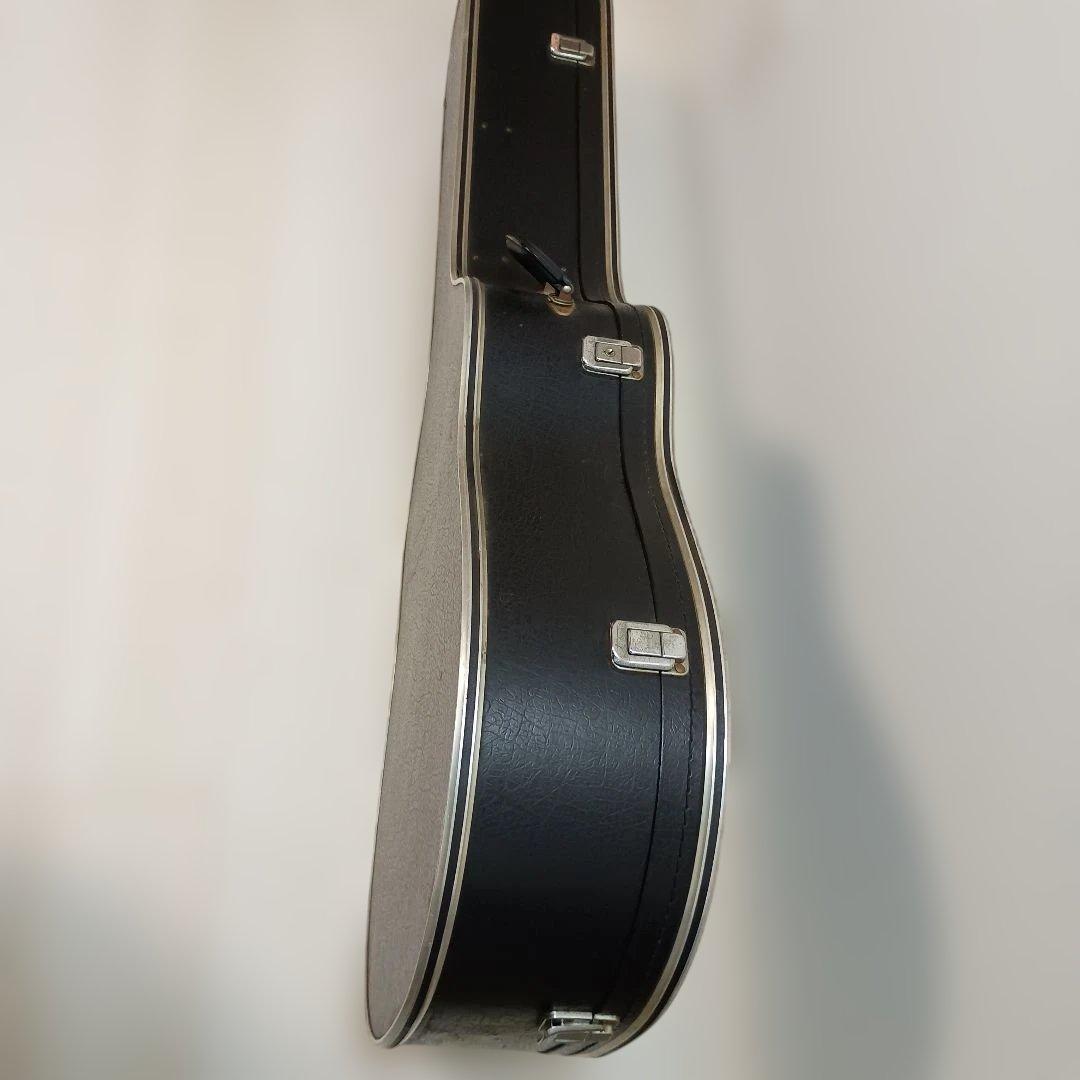 Blue Bell アコースティックギター 250