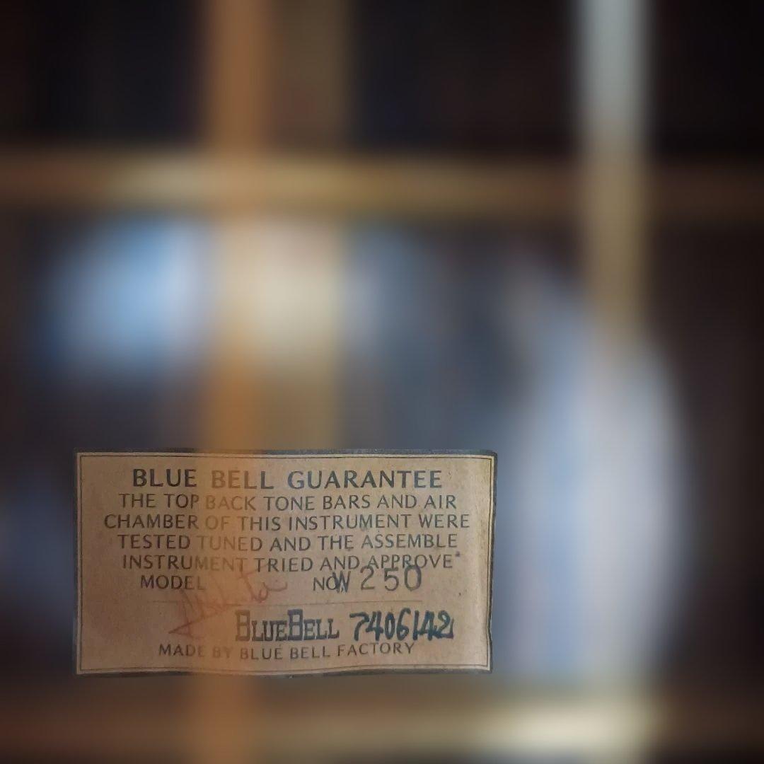 Blue Bell アコースティックギター 250