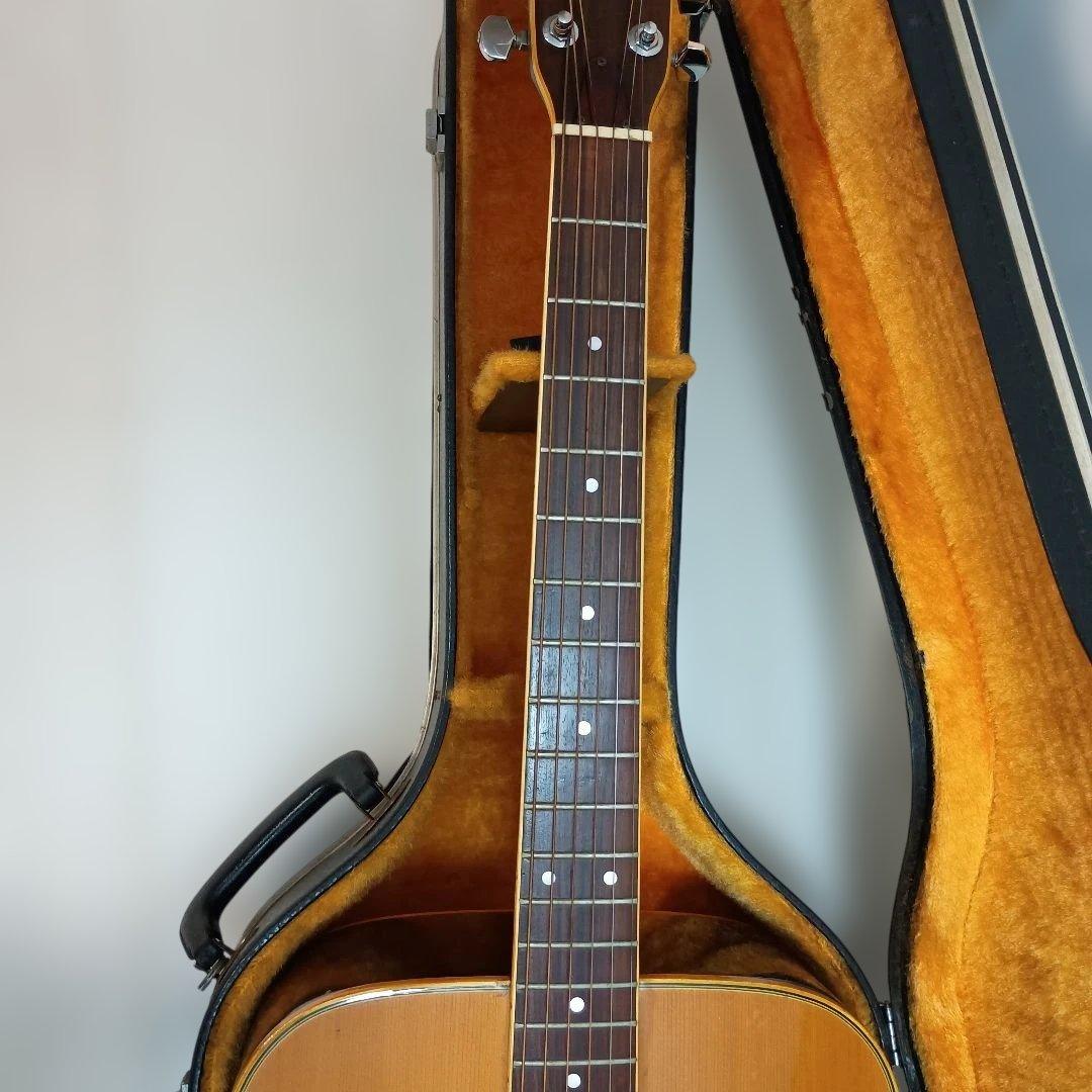 Blue Bell アコースティックギター 250