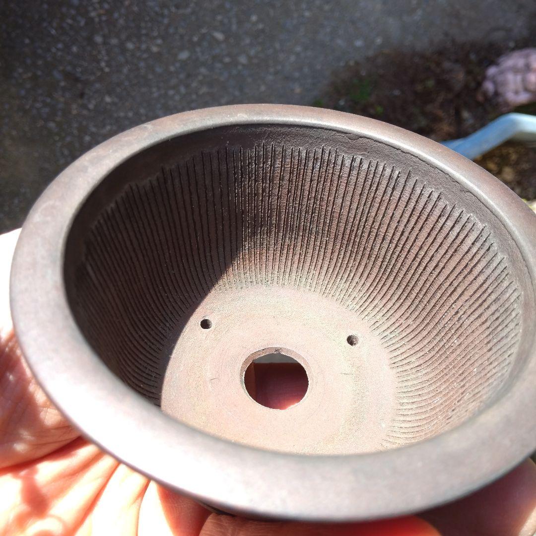 ミニ鉢、盆栽鉢、鉢、植木鉢、山野草鉢、蘭鉢、盆栽