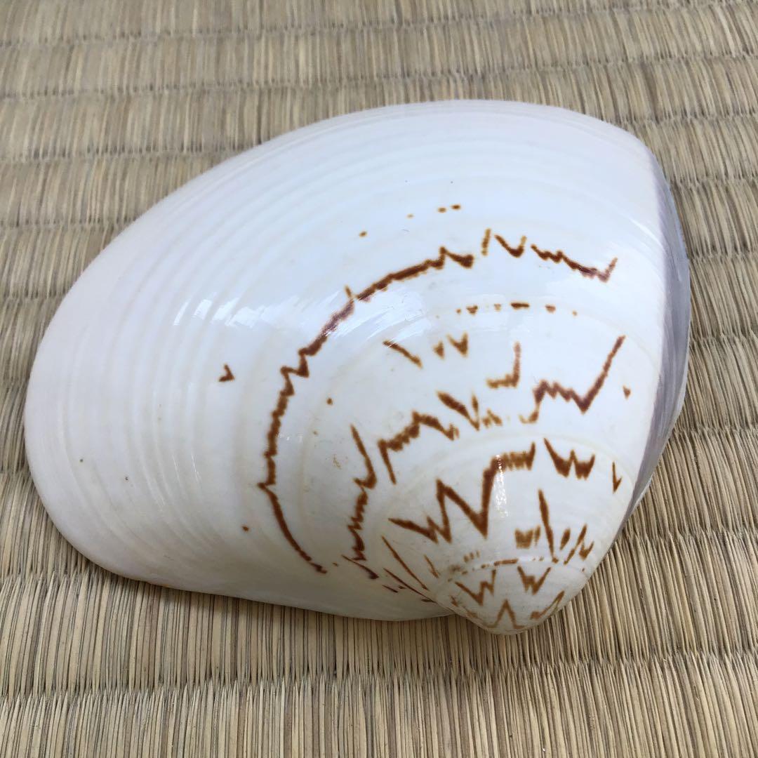 茶道具　香合　金箔蒔絵(内側) 大蛤十賊香合　共箱　S87TKG