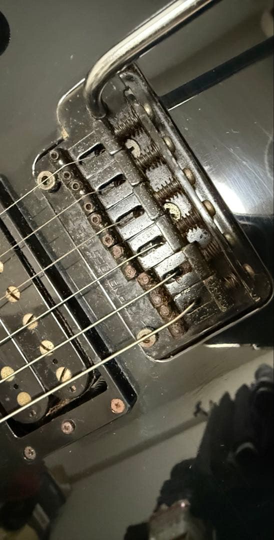 フェルナンデスTEJサスティナー布袋モデル