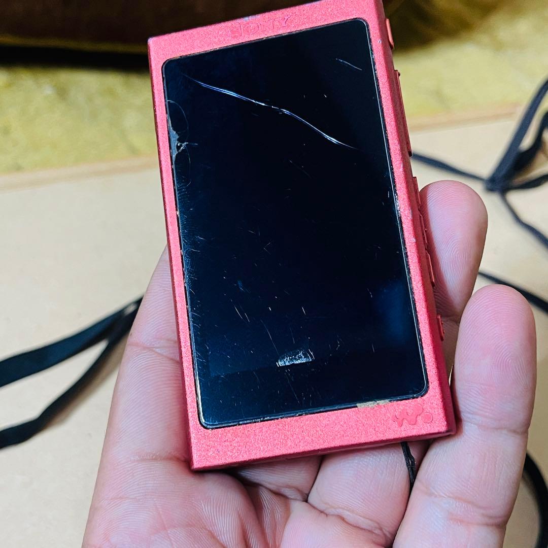 ソニー ウォークマン NW-A45 シナバーレッド動作品