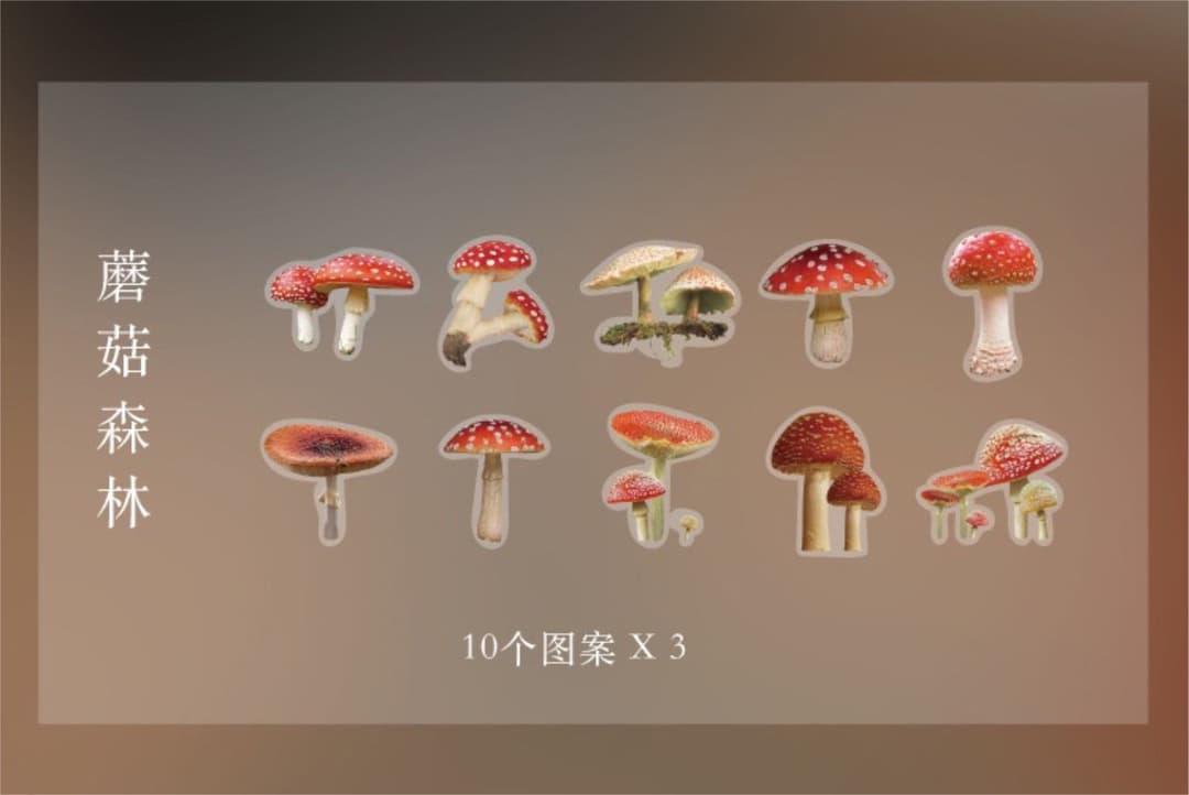 フォロワー様限定84★様々なリアルマテリアル PET ステッカー 8種類セット