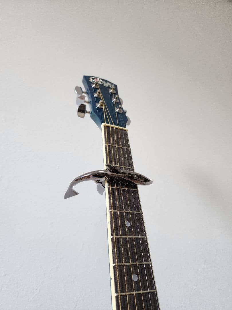 カッタウェイアコースティックギターセット