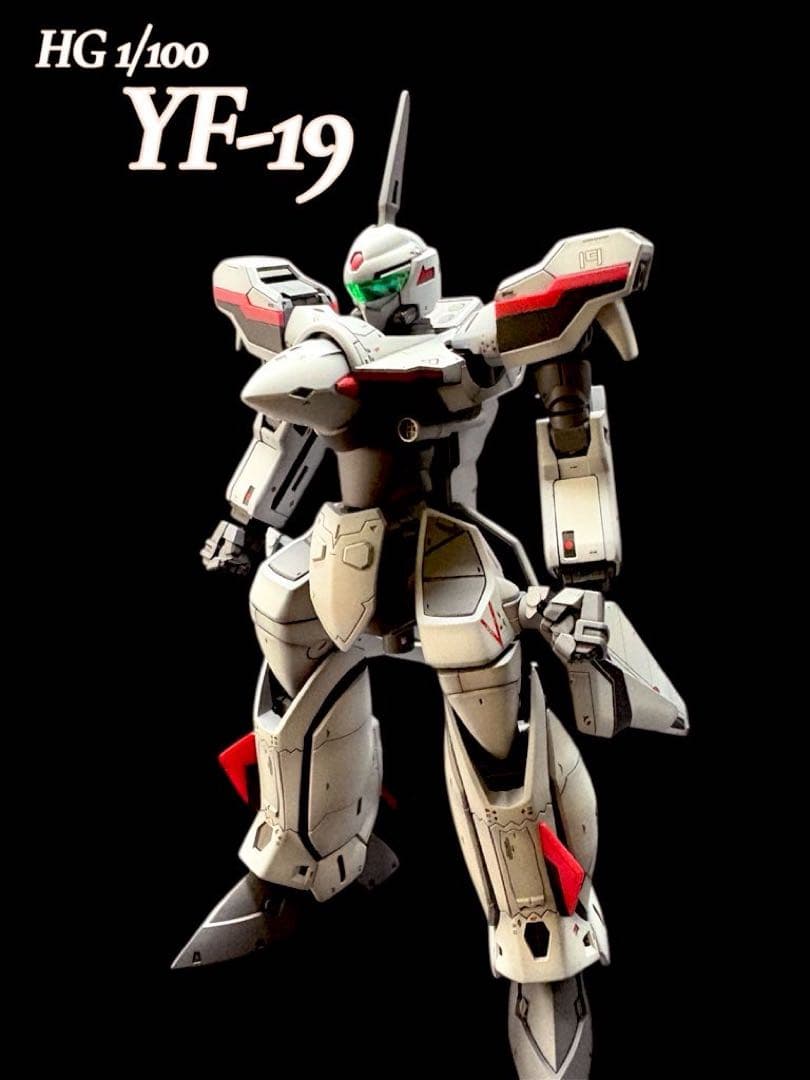 HG 1/100 YF-19 全塗装完成品