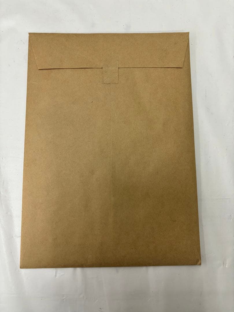 東京マルイ BIOHAZARD バイオハザード RE:4 SG-09R