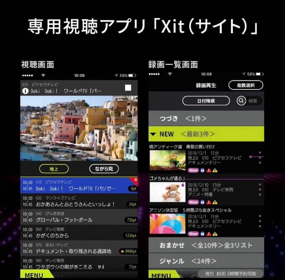 【新品】Xit Stick 地上デジタルチューナー XIT-STK200-LM