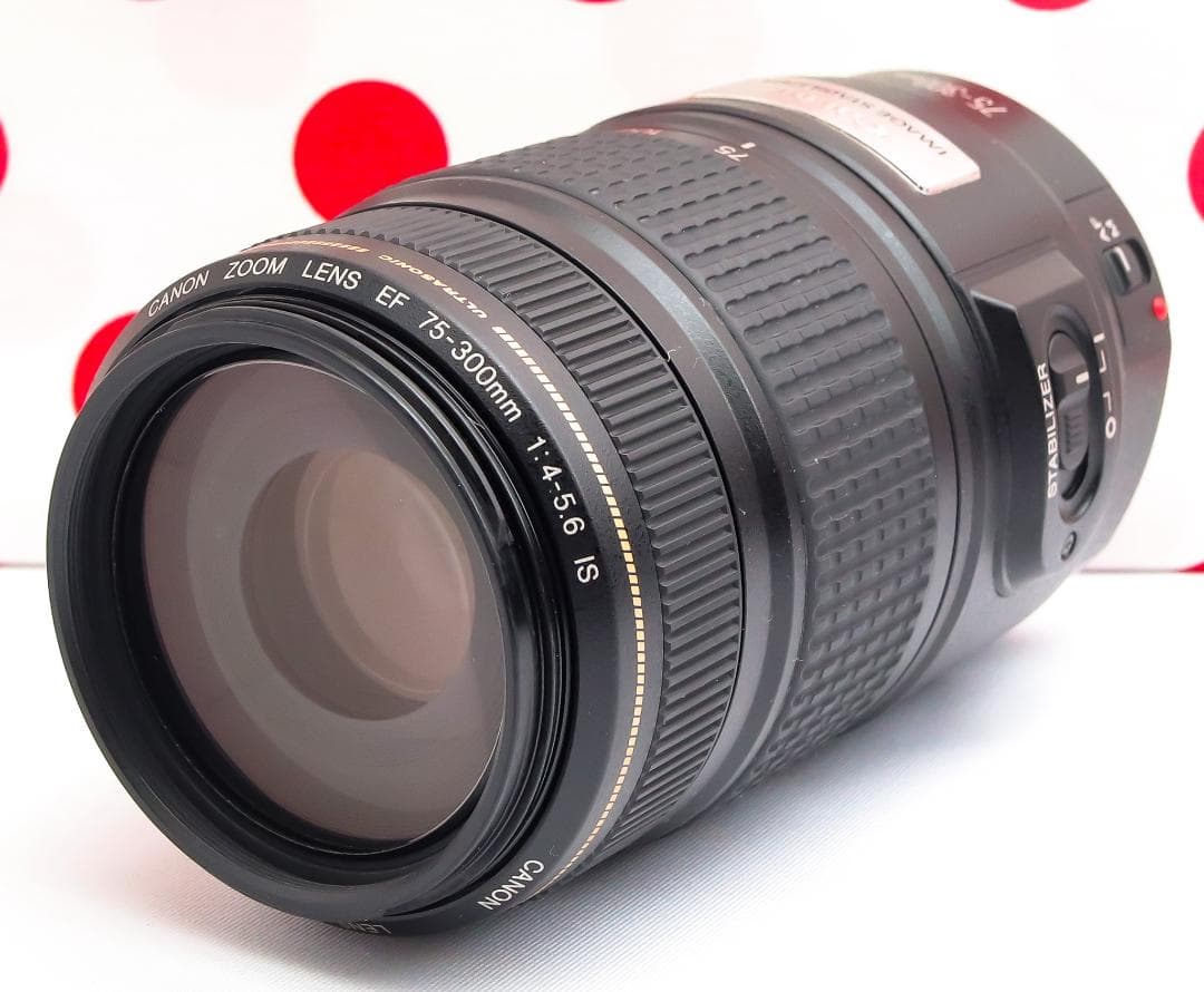Canon EF 75-300mm IS USM❤フルサイズでも使える！❤超望遠