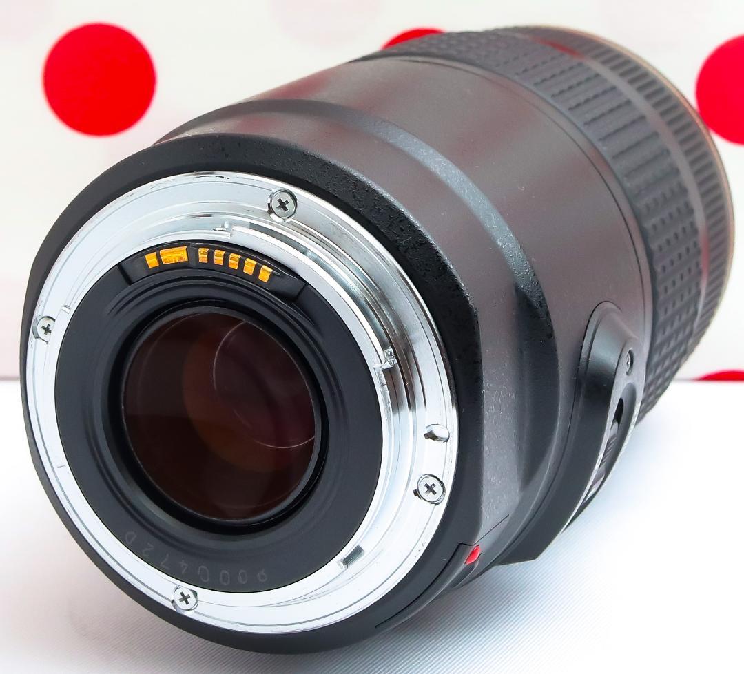 Canon EF 75-300mm IS USM❤フルサイズでも使える！❤超望遠