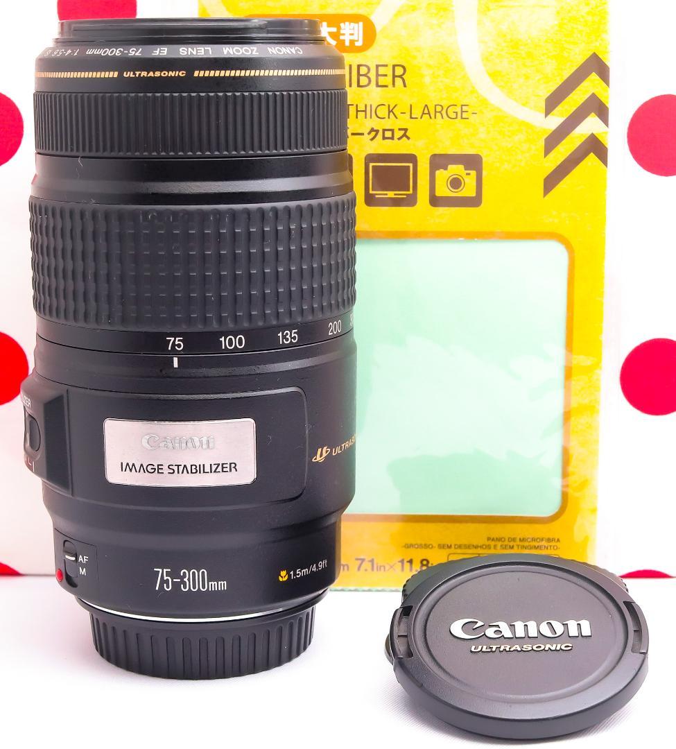 Canon EF 75-300mm IS USM❤フルサイズでも使える！❤超望遠