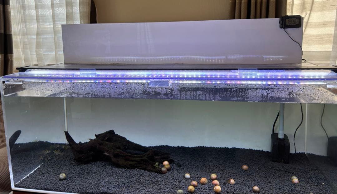 大森　アクリル水槽　120×60×45 水槽台セット　大型水槽　引取り限定