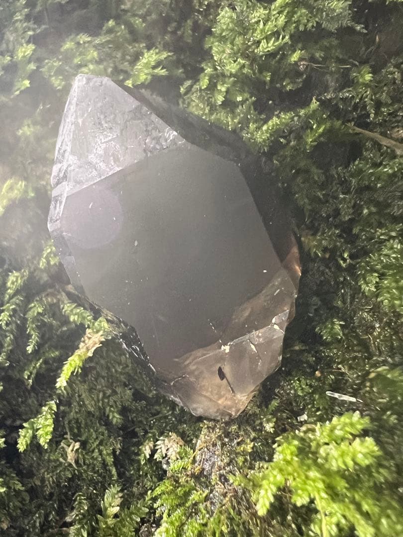 龍脈の精髄 九州産黒水晶 「闇を封じる最強の護り」【保護猫活動支援】