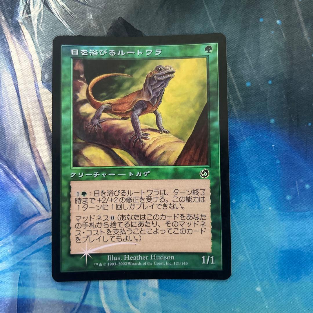 mtg ラノワールのエルフ foil その2 +日を浴びるルートワラfoil