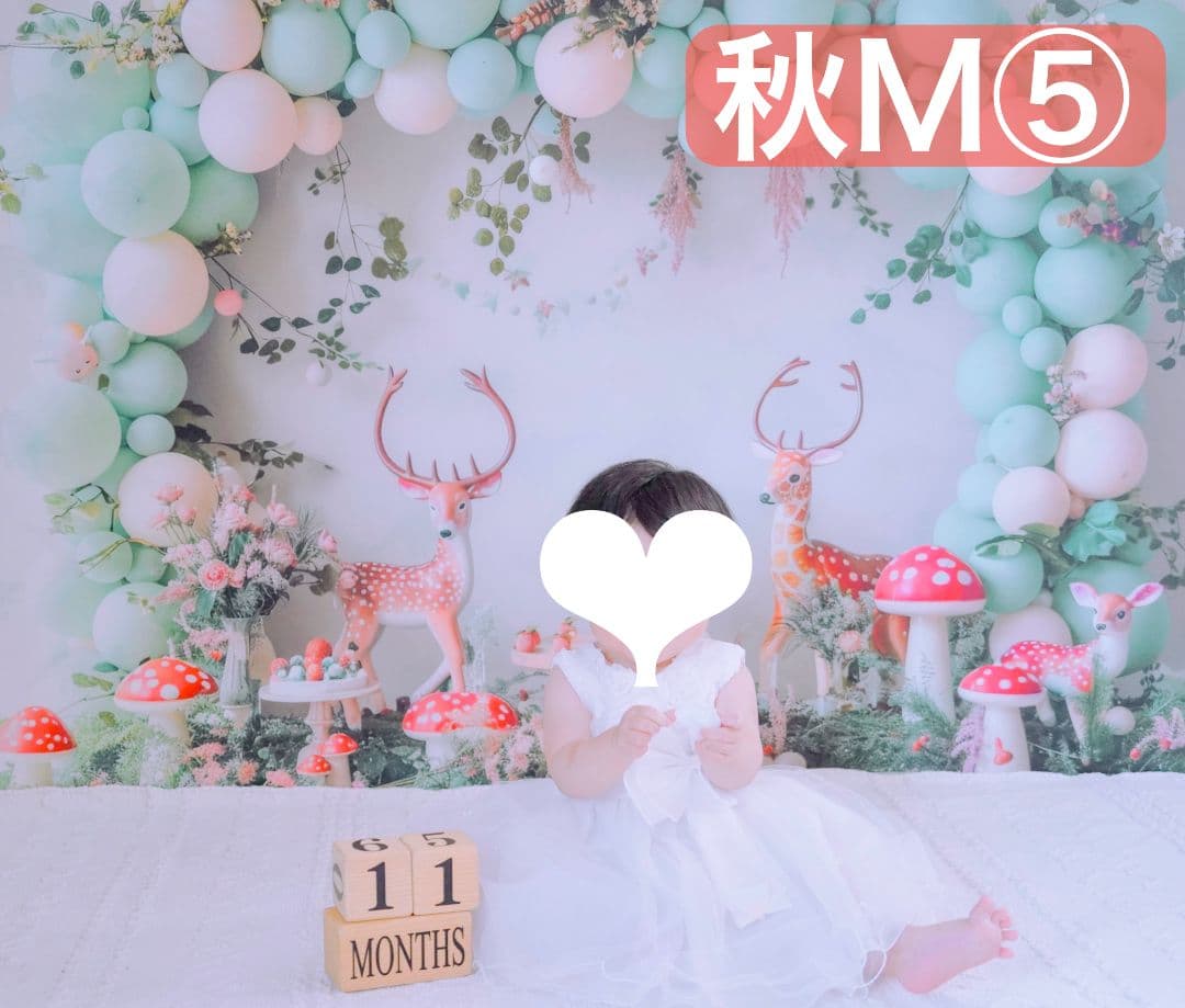 背景布×10枚+2　ペット撮影用ブース　トリミングチョーカー販売中　お正月、春