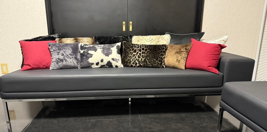 【期間限定値下げ中】カウチソファ【値引き歓迎】