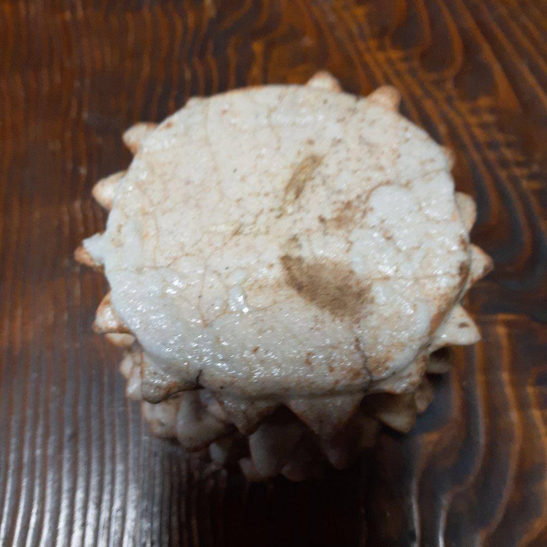 幻の志野焼蓮華台