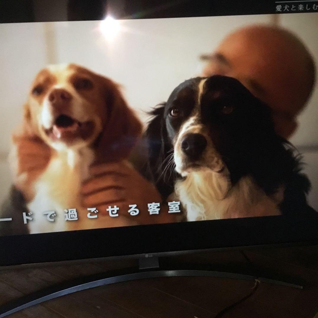 LG　５５UN6100PJA