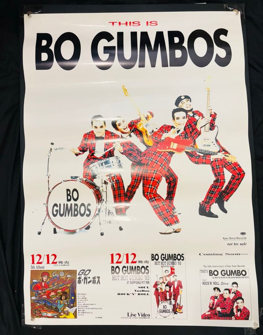 BO GUMBOS GO ポスター