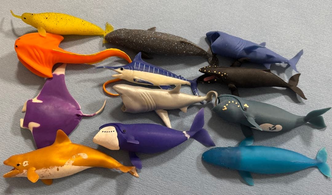 くじら&co. セミコンプリート　15体　まとめ