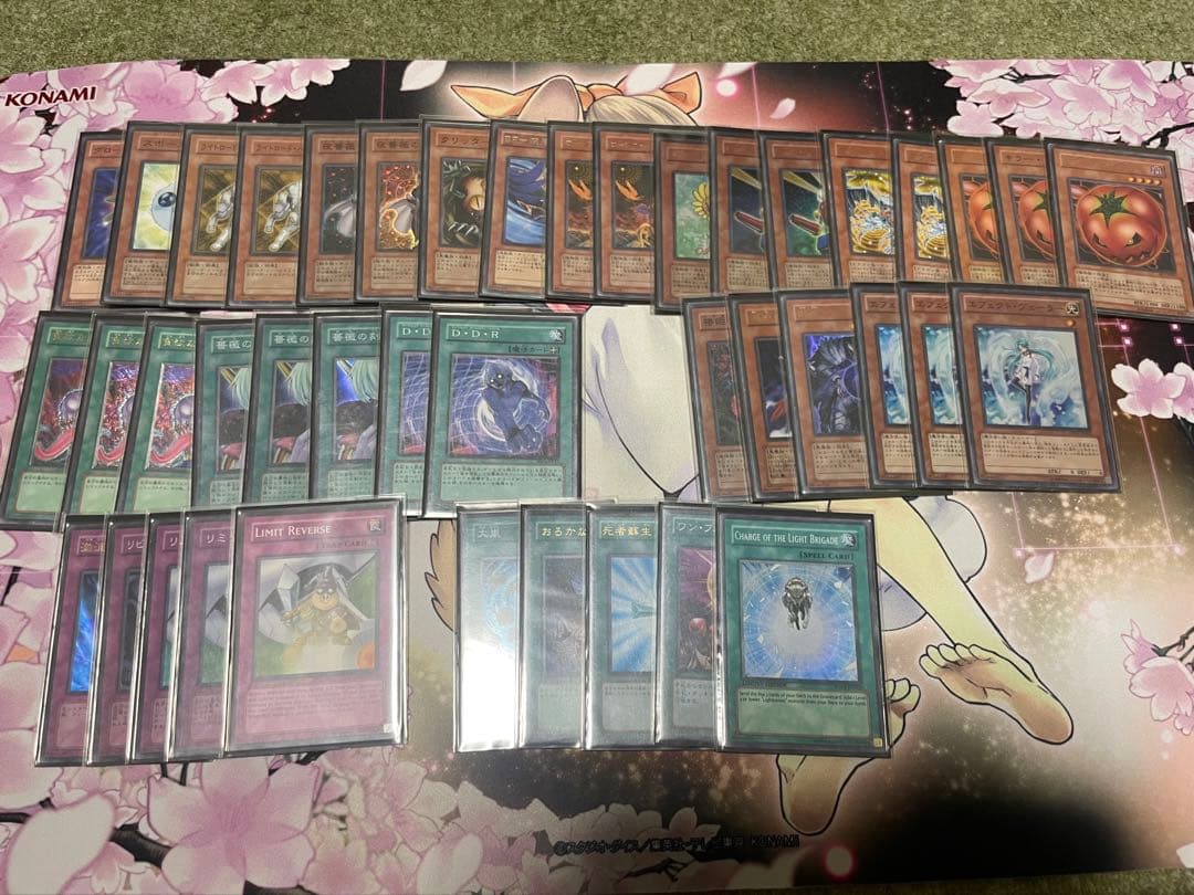 遊戯王　デブリダンディ　2011年　ゲートボール　装備植物