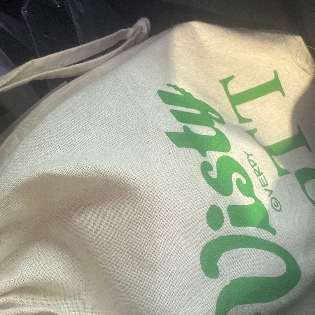 Verdy BoTT フィギュア　激レア