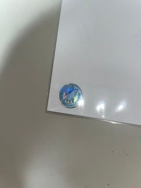 乃木坂46 生写真 直筆 10周年記念 掛橋沙耶香 レアポ