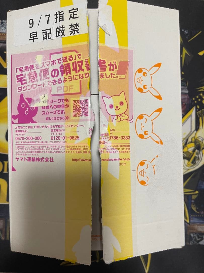 ポケモンセンター産　イーブイヒーローズ