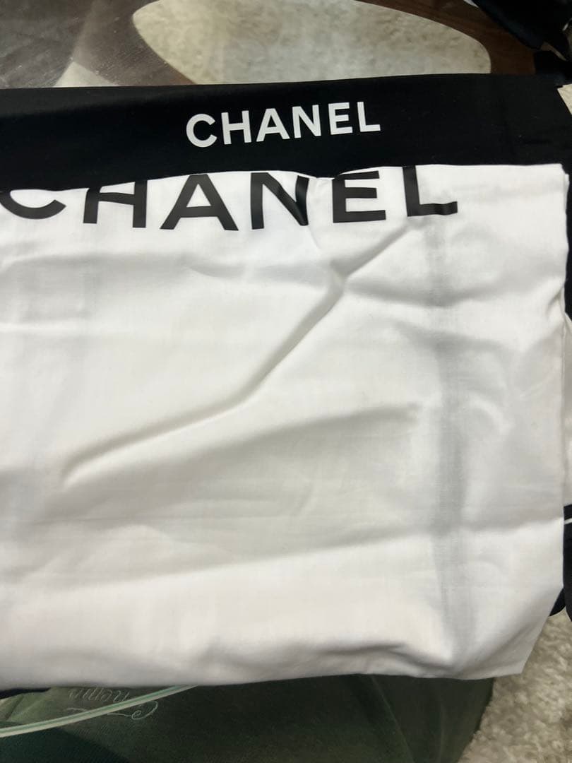 FENDI CHANEL CELINE 袋　ガーメント