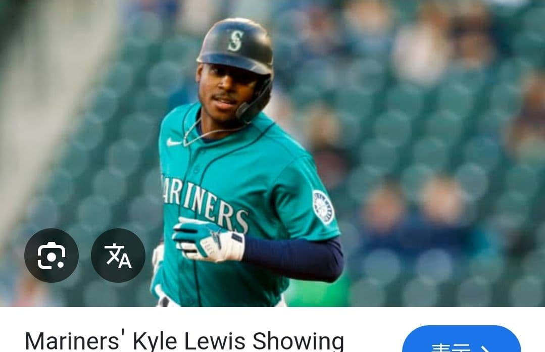 マニー・マチャド、カイル・ルイス　バッティンググローブ　　セット