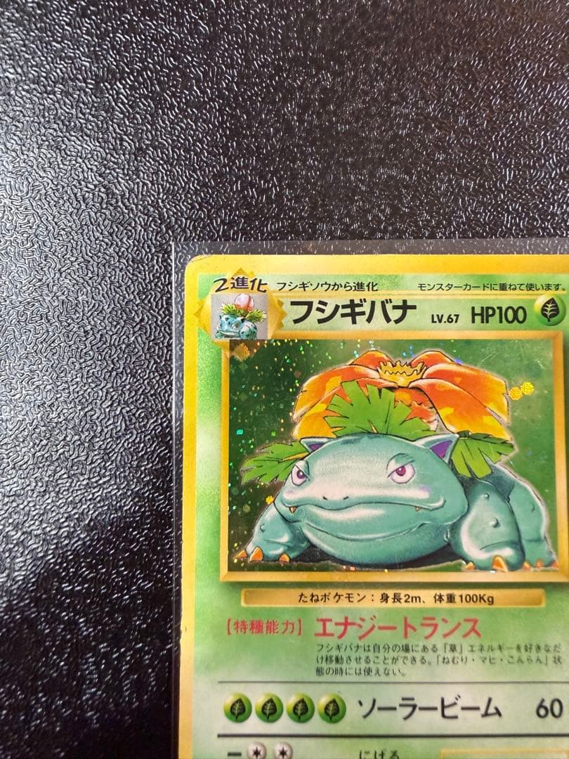 フシギバナ　旧裏 初版 (第1弾初版・マーク無し) ポケモンカード