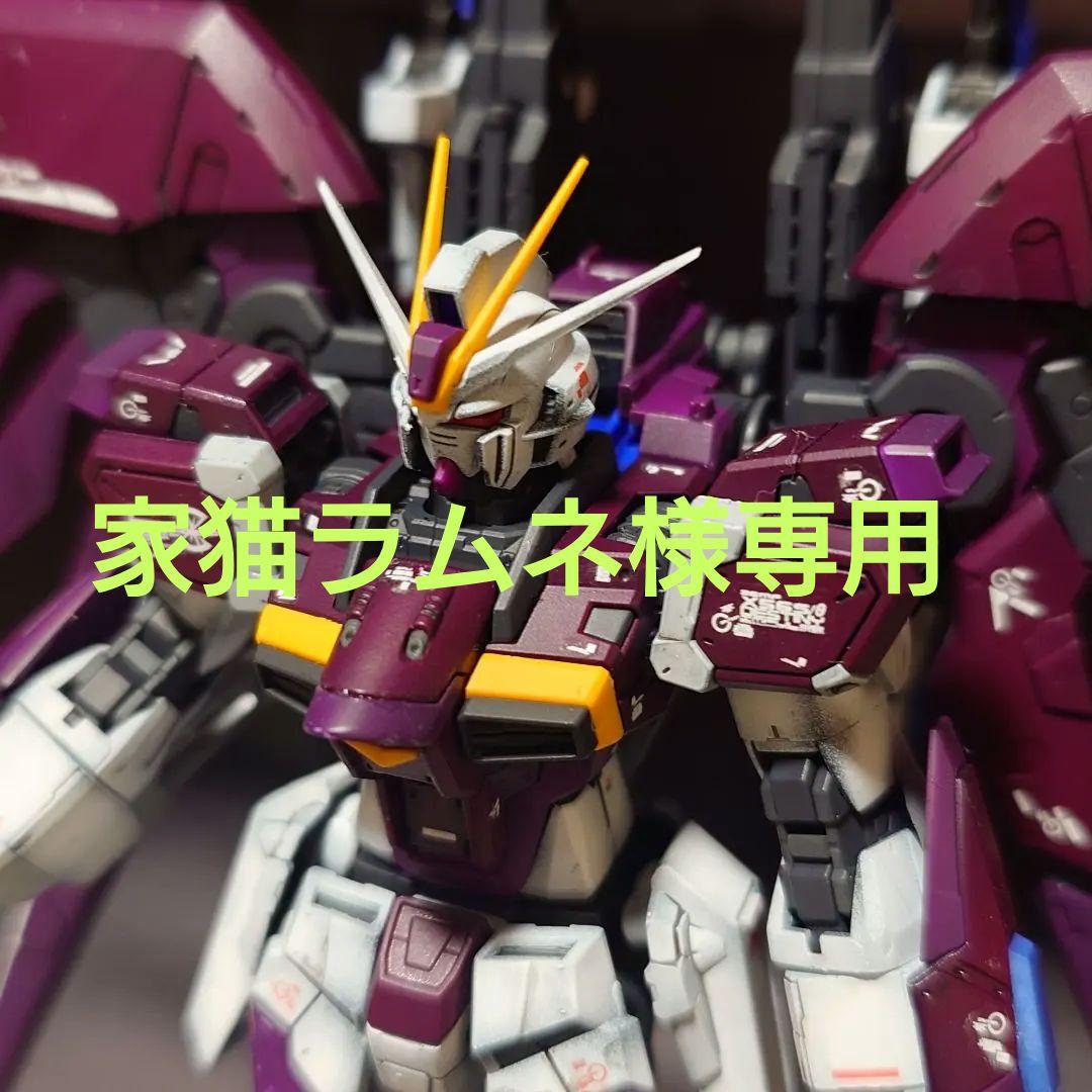 家猫ラムネ　塗装済　RG　デスティニーインパルス　完成品