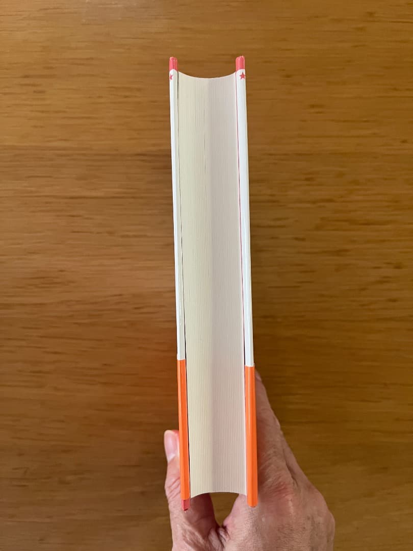 アミ 3度めの約束 エンリケ・バリオス